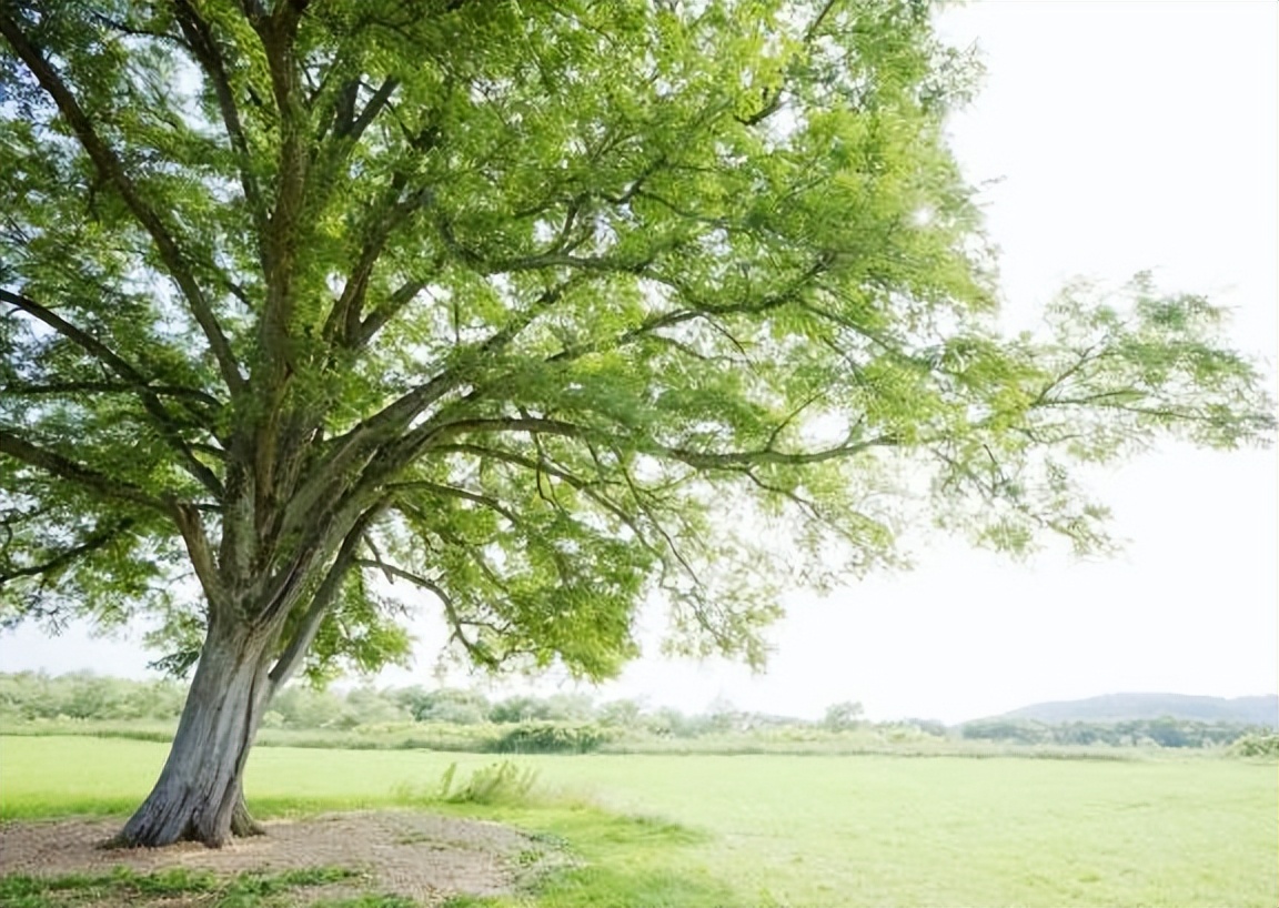 习惯性眯眼,眯眼睛的习惯