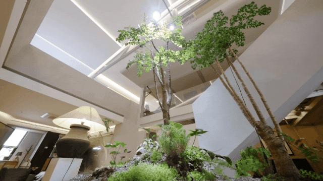 他花300万，把北京出租屋改成梦想的家，只住5年