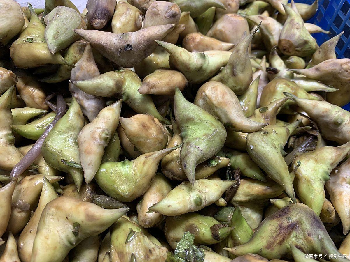 珠海必备特产有哪些,珠海特产有哪些比较值得带