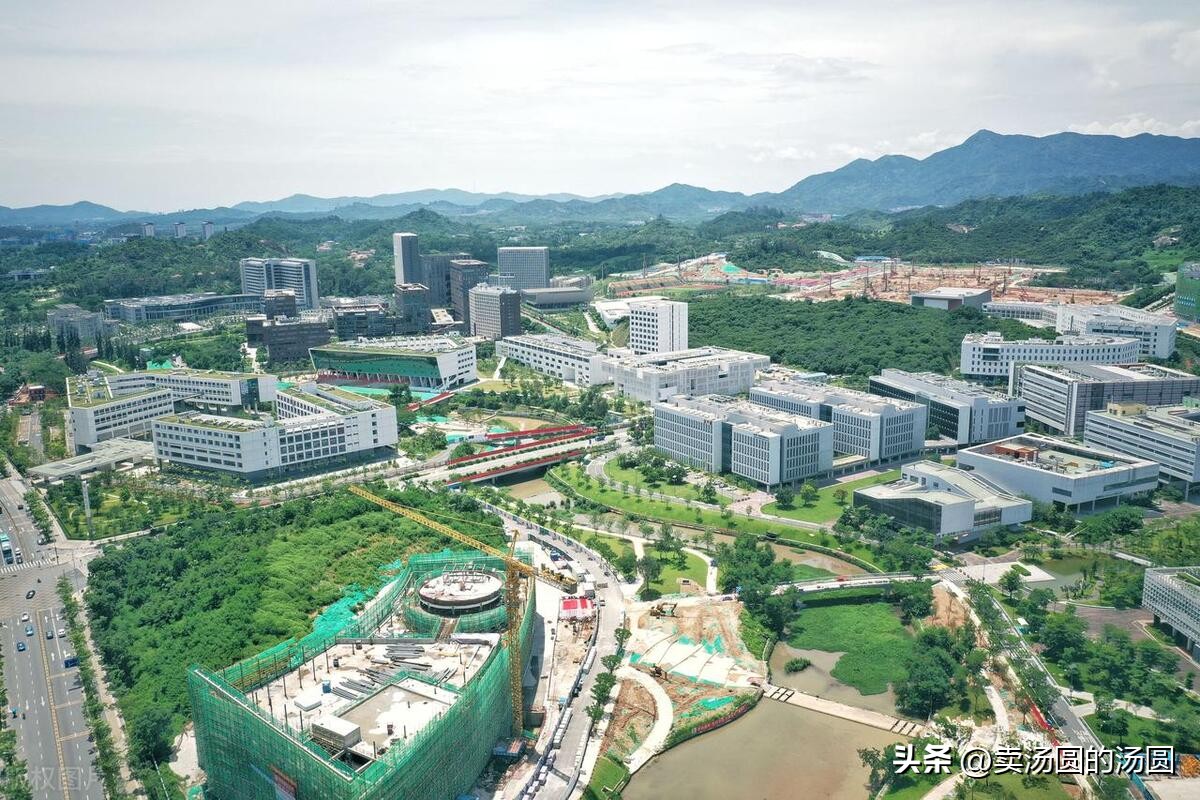 深圳南方科技大学在广东省排名,广东最出名的大学南方科技大学