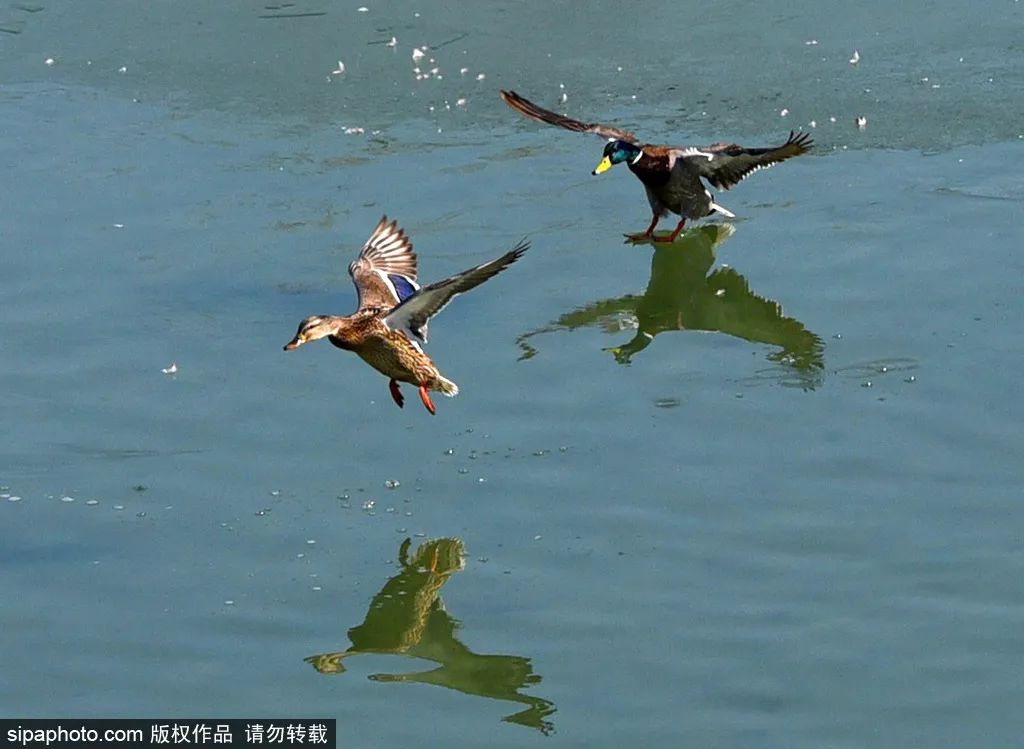 冬天颐和园昆明湖全景,观赏颐和园昆明湖