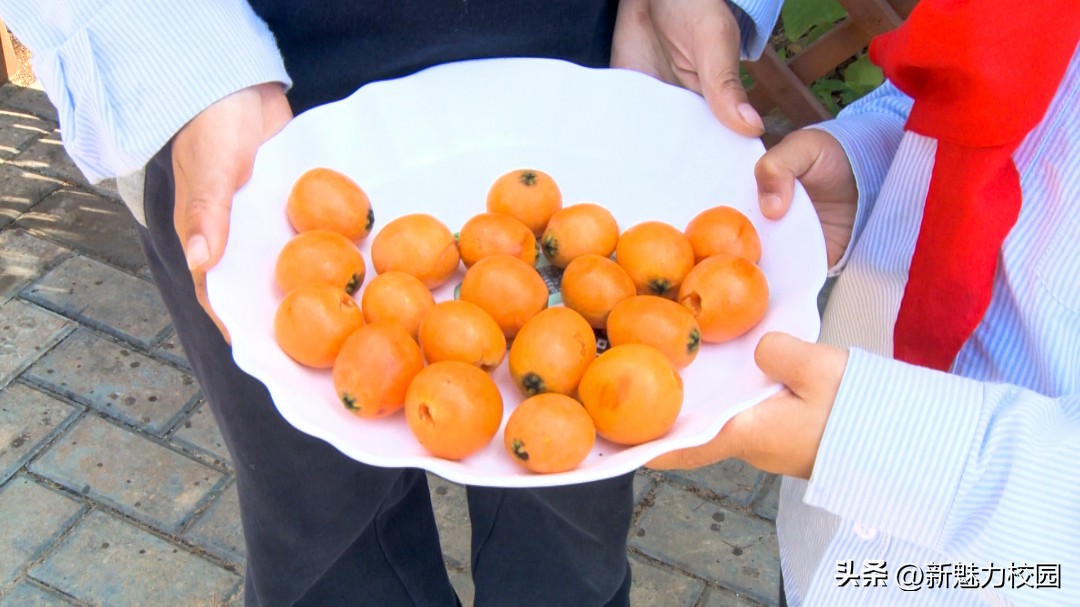 劳动润“鑫”“鑫”动生花——鑫园小学举行劳动教育专场活动