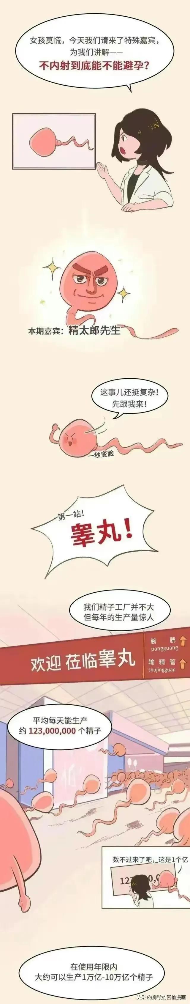 正经科普：体外射精真的可以避孕吗？（漫画）