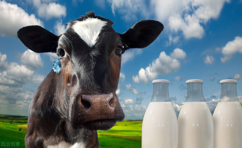 海关提醒立即停用雅培,海关要求禁止雅培奶粉