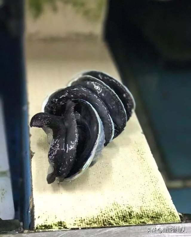 世界十大顶级海鲜食材有哪些品种,海鲜贝类品种大全及名字