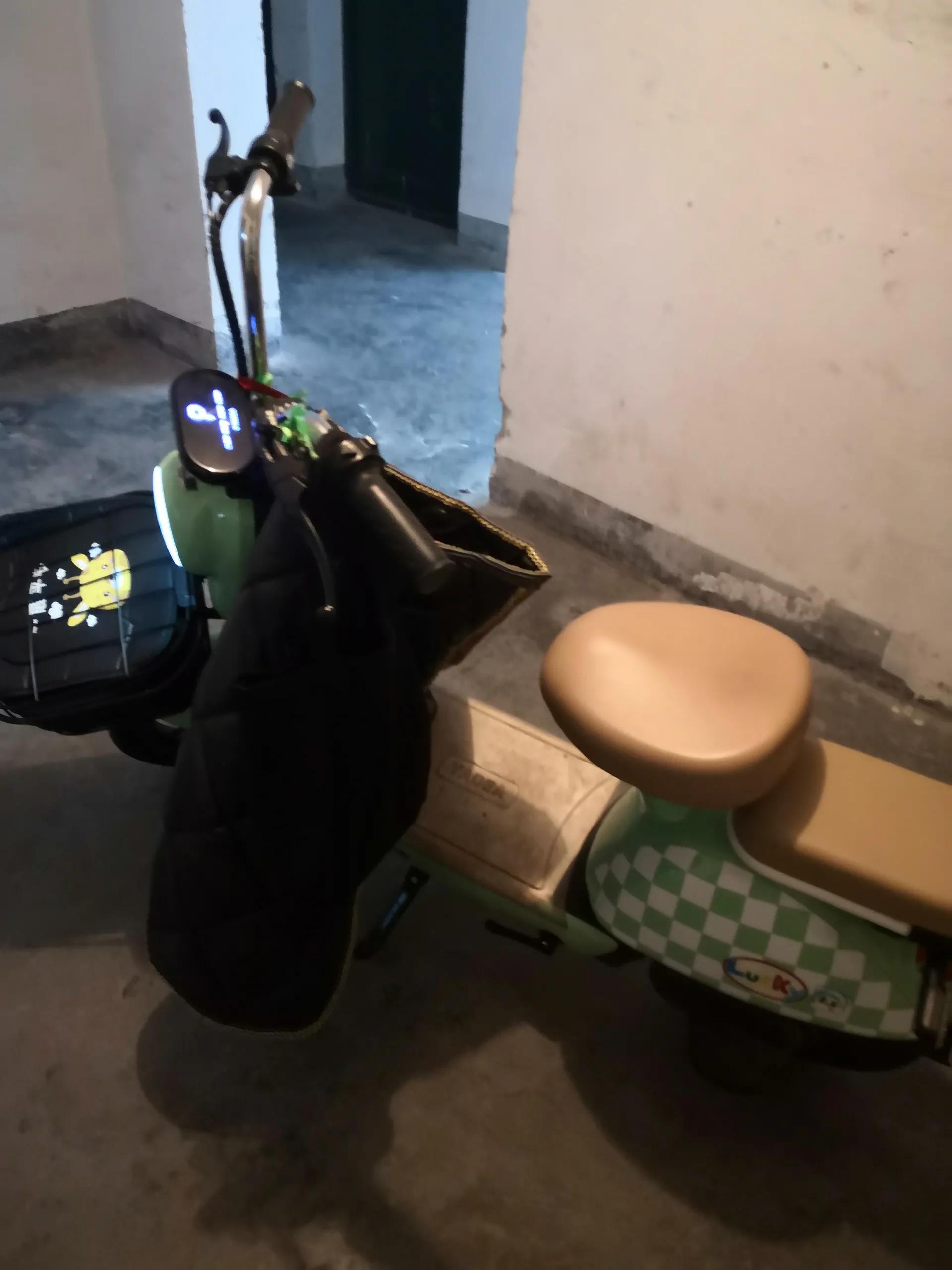 敝帚自珍作品,敝帚自珍怎么读音