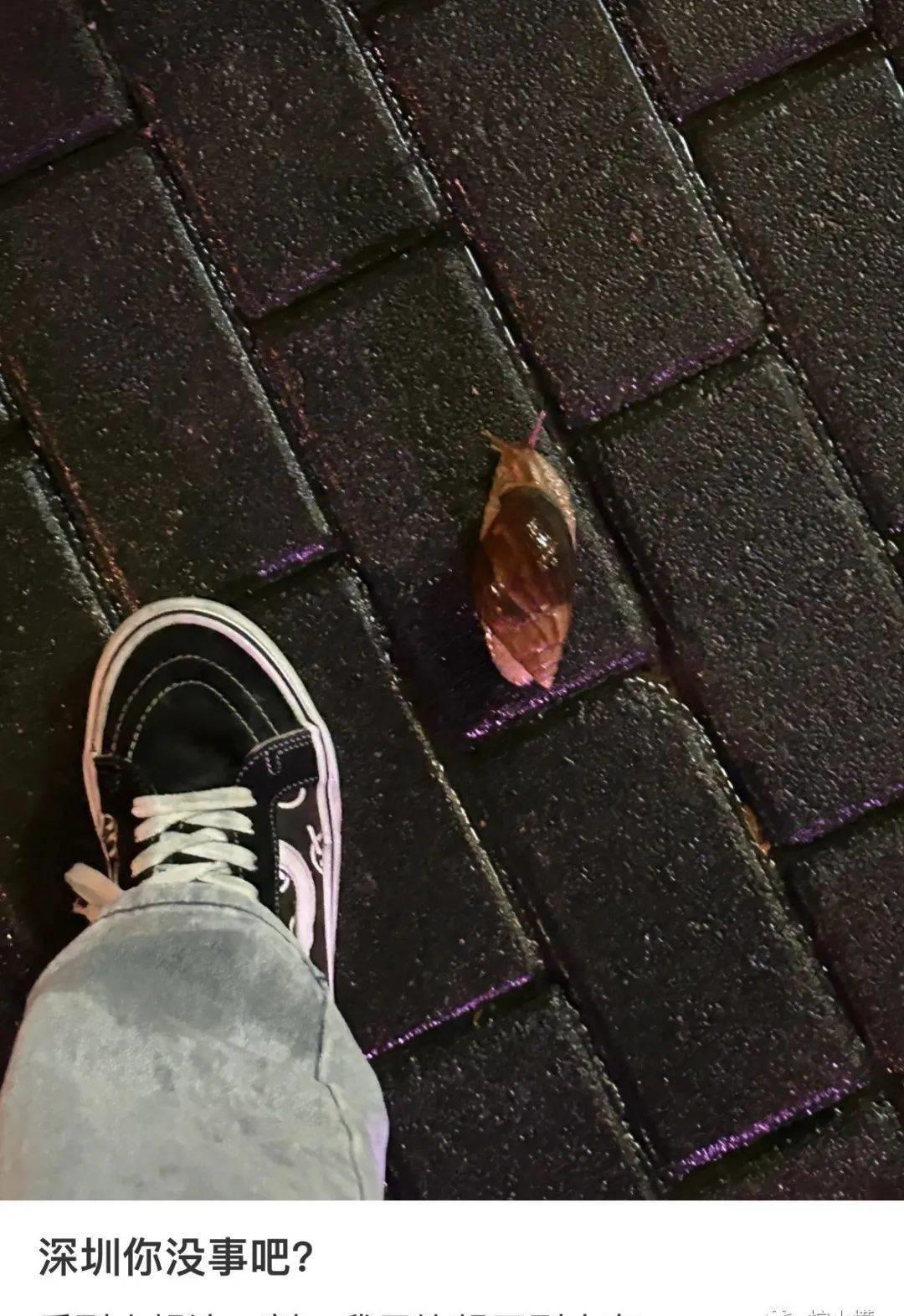 花了1000块钱拍艺术照,花了900元拍的照片