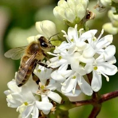100种迷人的“数字花”,从零到一百万,真是太神奇了