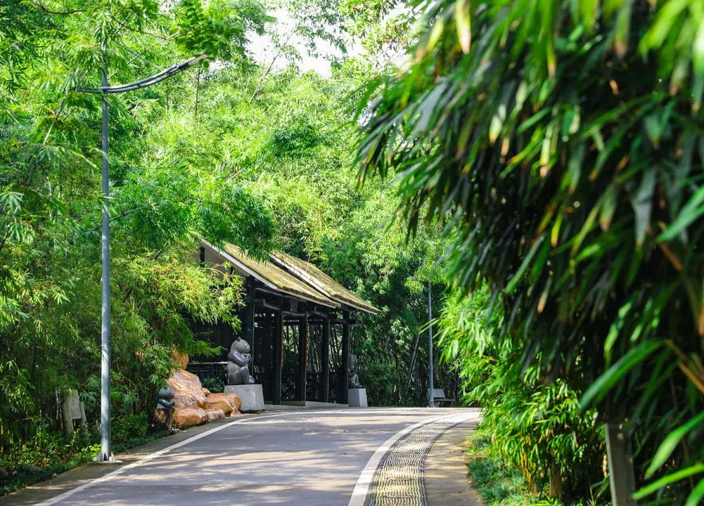 周末森林公园推荐深圳宝安,深圳森林公园登上山顶看美景