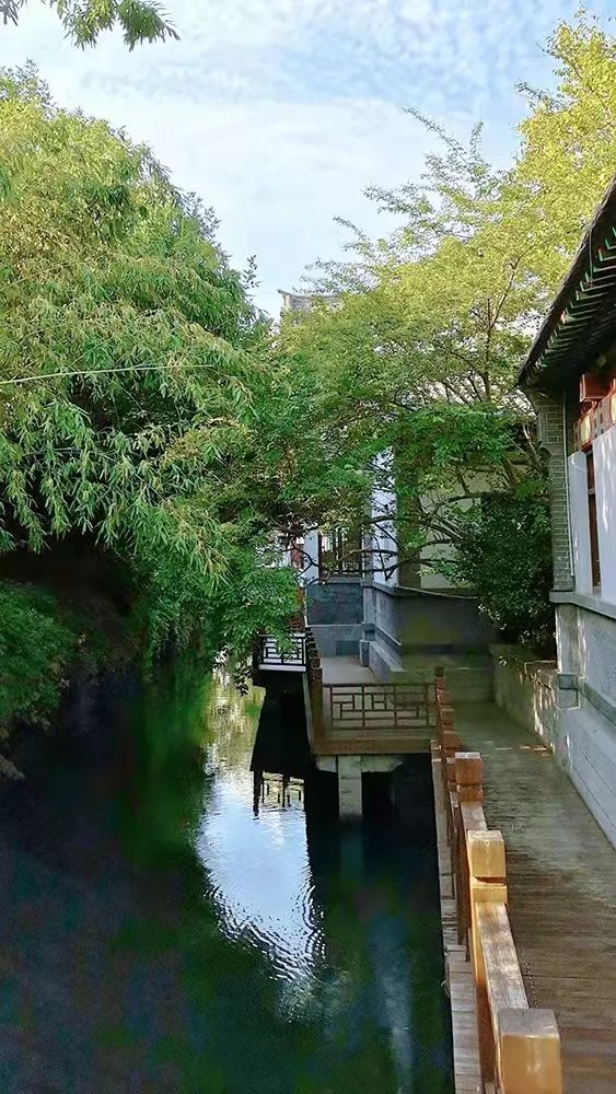 美爆了济南这些地方成网红打卡地,2019年济南网红打卡地瀑布树林