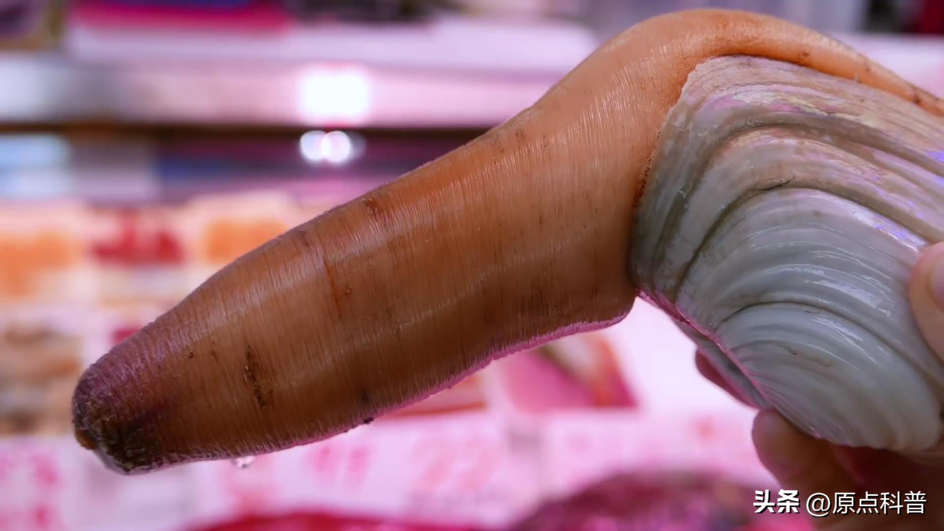 日本100种奇葩美食,日本八大奇葩美食