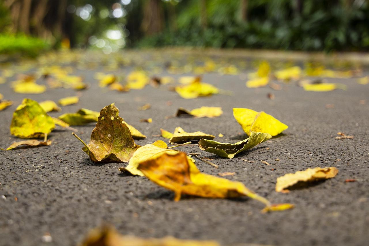 中医脚底筋膜炎如何彻底治愈,筋膜炎肩部最快的治疗方法中医