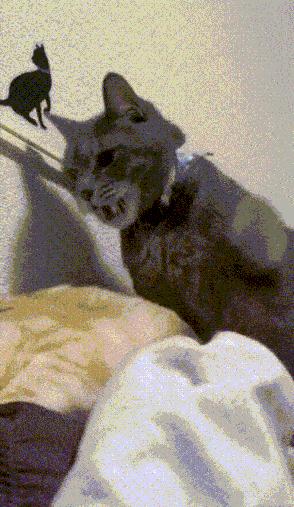 关于重庆的搞笑图,表示不敢相信的搞笑图片