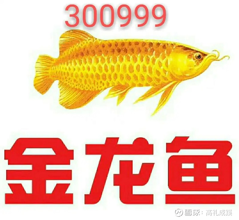 粮食危机,中美几大粮食巨头股