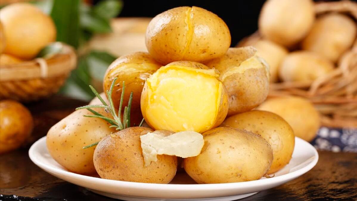 初夏五月吃这些蔬菜就够啦,五月吃什么菜推荐几种应季蔬菜