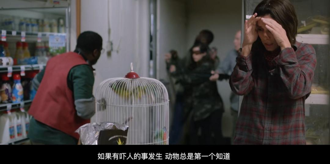 五星安利的穿越剧,五星安利穿越剧