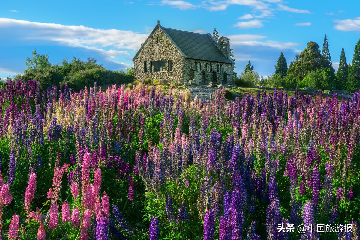 驻日使馆发旅游安全提醒,中国海外旅行安全提醒