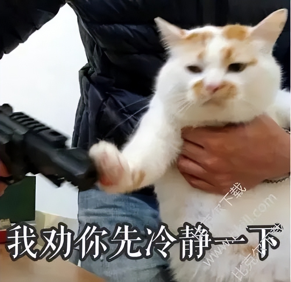 20万开店日营业额仅79元创业失败,20万投资实体店生意惨淡