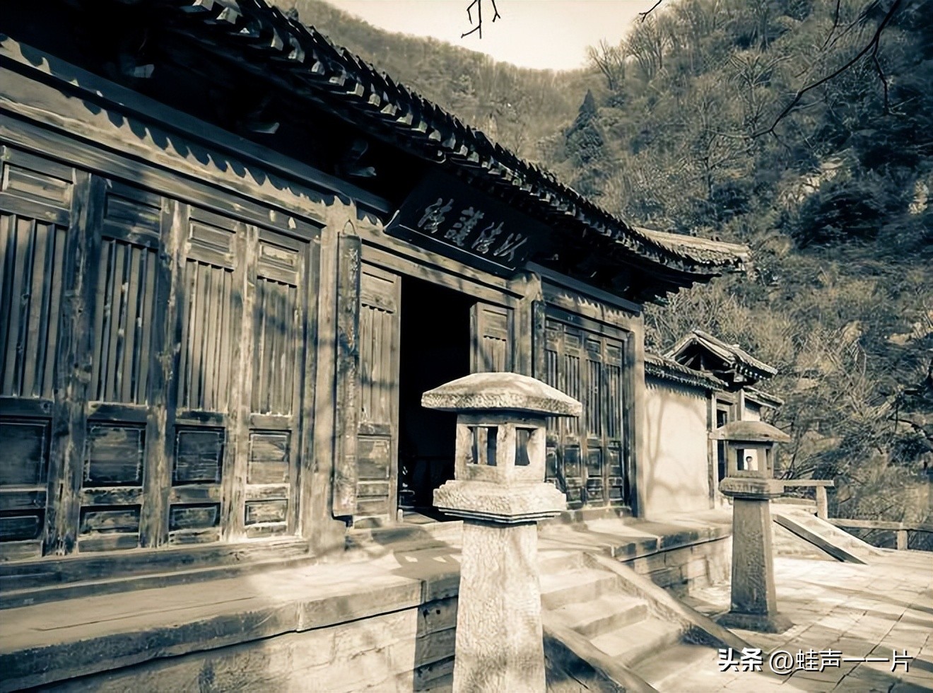 民间故事花妖视频,民间故事除恶劫