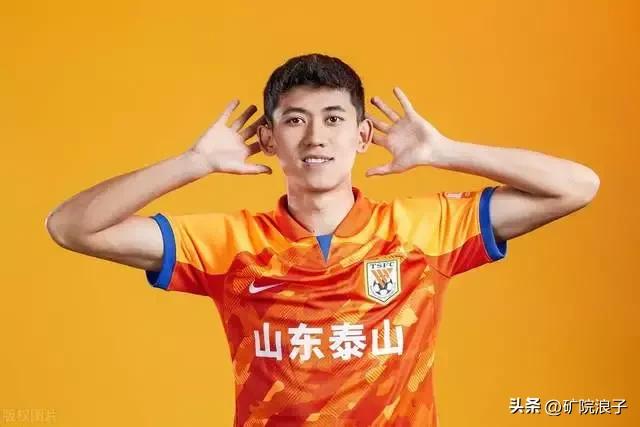 大型化发展,山东泰山占据领先优势