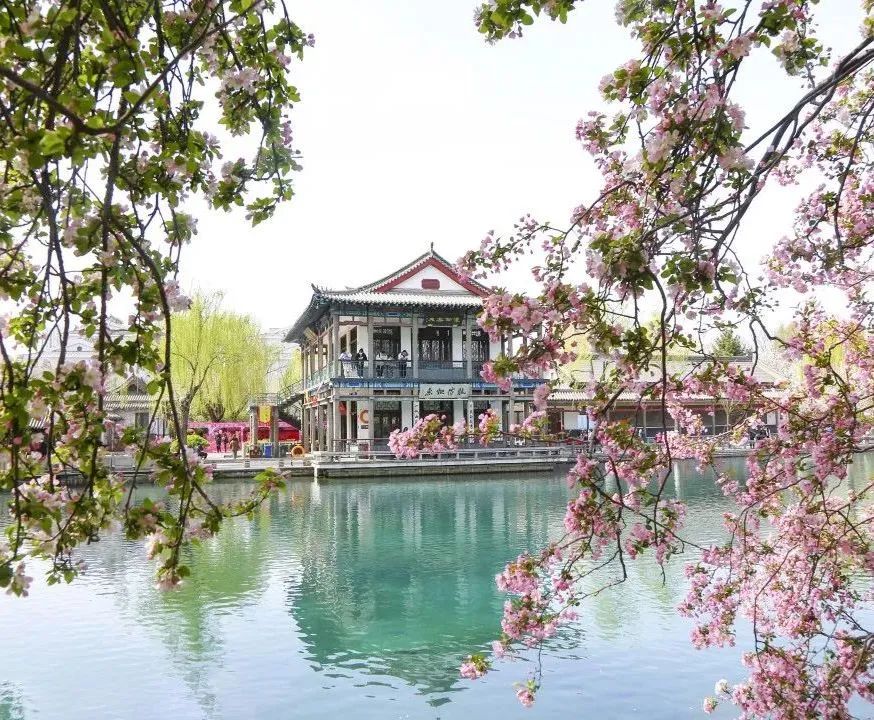 济南最火的几个网红景点打卡,济南网红打卡点景点