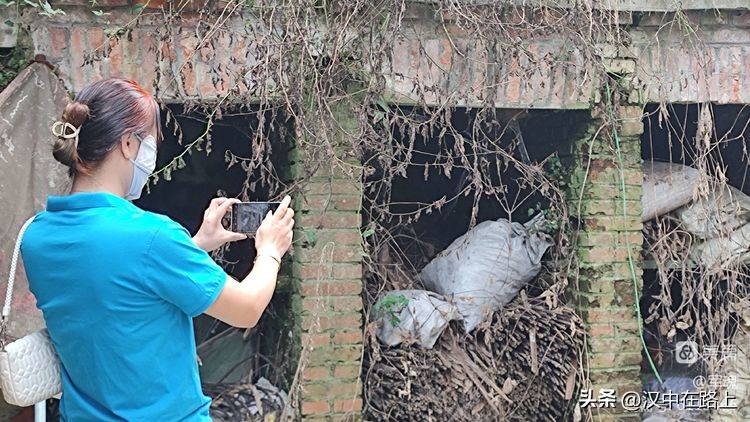 南峰心声,南峰情头