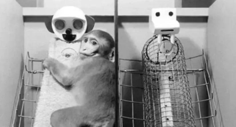 明明很爱孩子但是就是忍不住骂他,明明很爱孩子为什么忍不住打骂