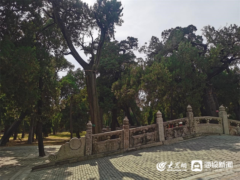 济宁去孔庙旅游攻略图片,山东济宁曲阜孔府孔庙