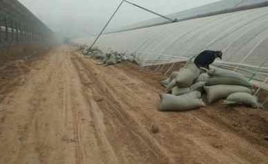 76岁农村大爷养鸡赚钱,小伙子在农村养鸡致富