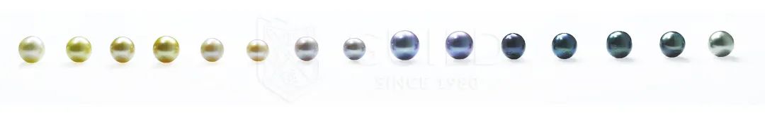 世界杯历史上最昂贵的比赛,最贫穷的世界杯