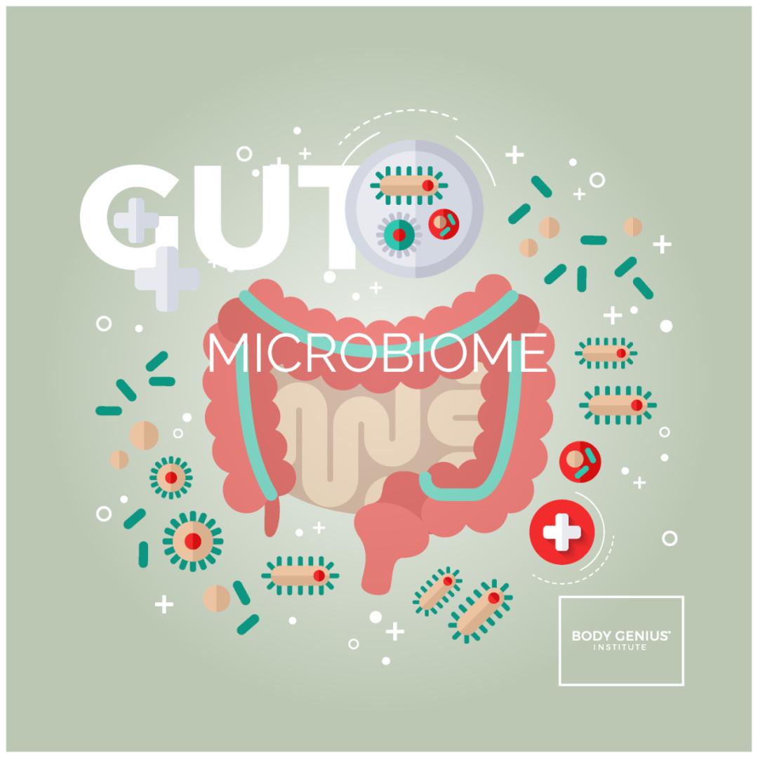 肠道微生物怎么影响免疫系统,揭秘肠道菌群是如何影响心血管的
