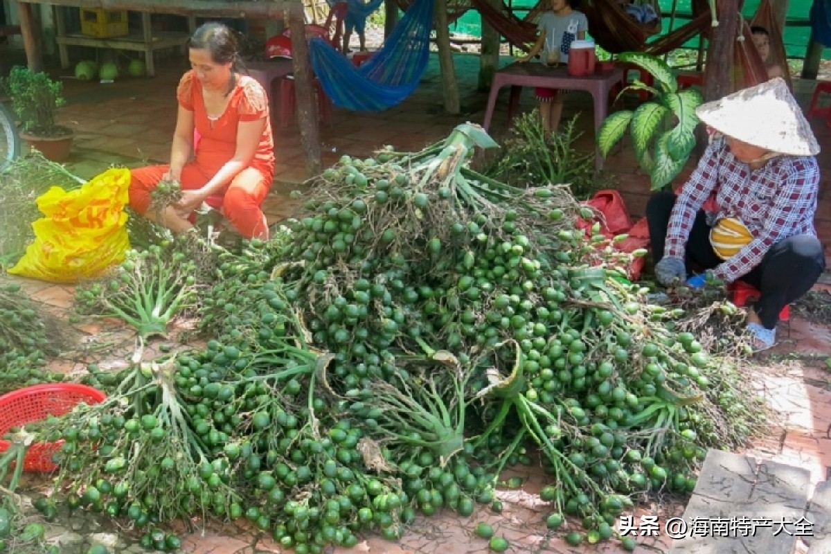 中国进口越南槟榔,越南槟榔价格行情