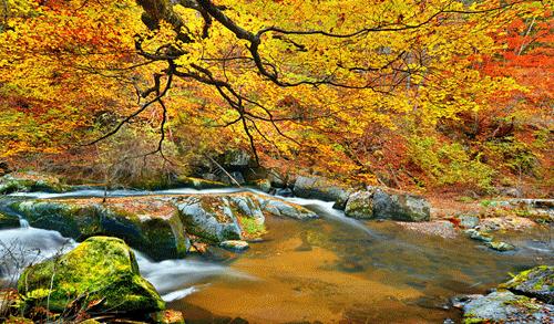 夏季延边旅游最佳路线推荐,延边最新活动消息