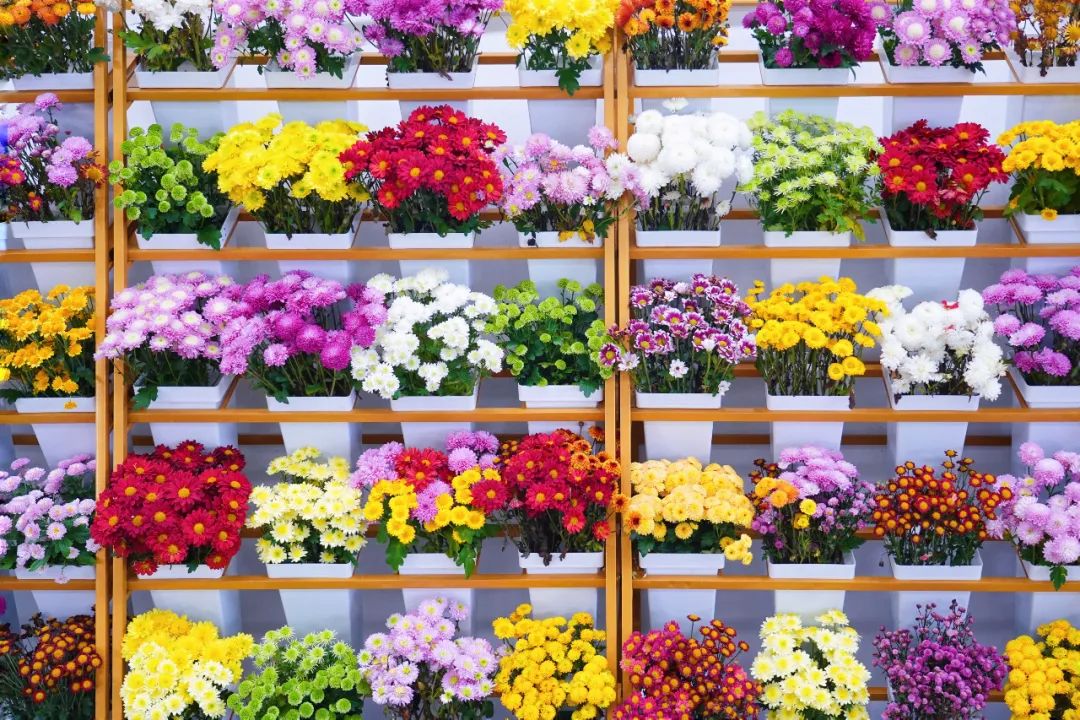 盐城值得去的地方,盐城市区有什么值得去的地方