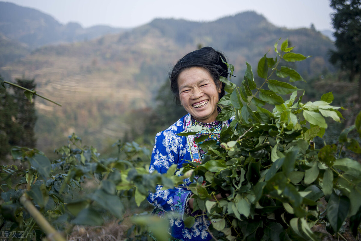 高血压，多半是“肝郁化火”！一张方子，疏肝清热，巧妙化解