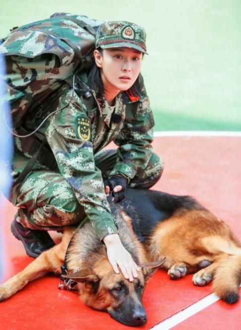 张馨予和何捷姻缘,张馨予何捷的爱情故事