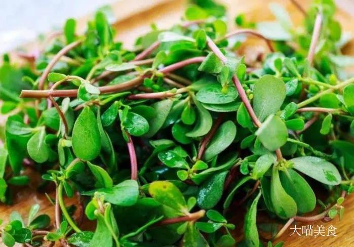 马齿苋怎么做好吃有什么好处,马齿苋怎么做好吃又有营养价值