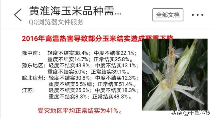 玉米混播高产吗,玉米混播有哪些品种