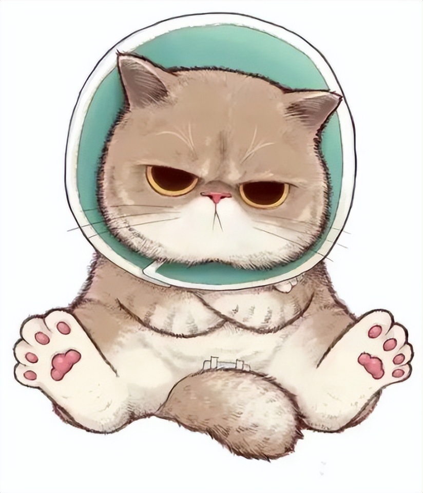 猫隐睾在腹股沟内癌变的前兆,猫咪睾丸肿瘤