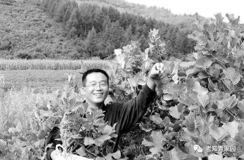 北大荒知青生活叙事诗——北大荒“游击词”100篇