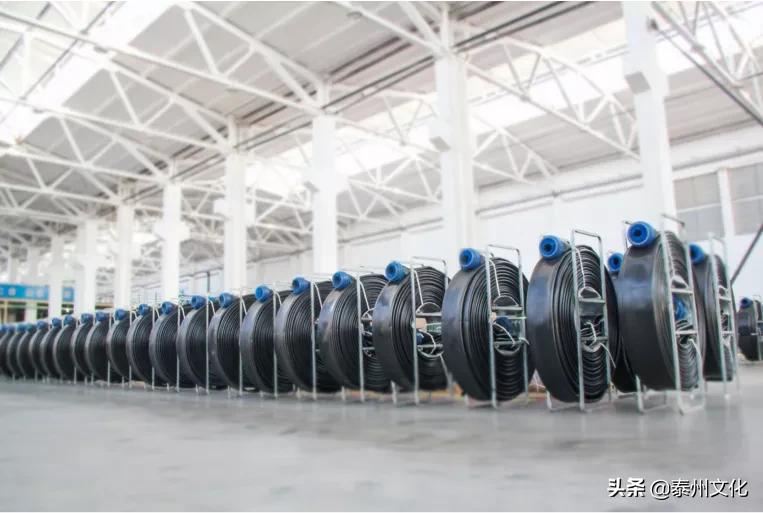 2021泰州标杆企业|五行科技：做好中国软管！海外销售额占80%