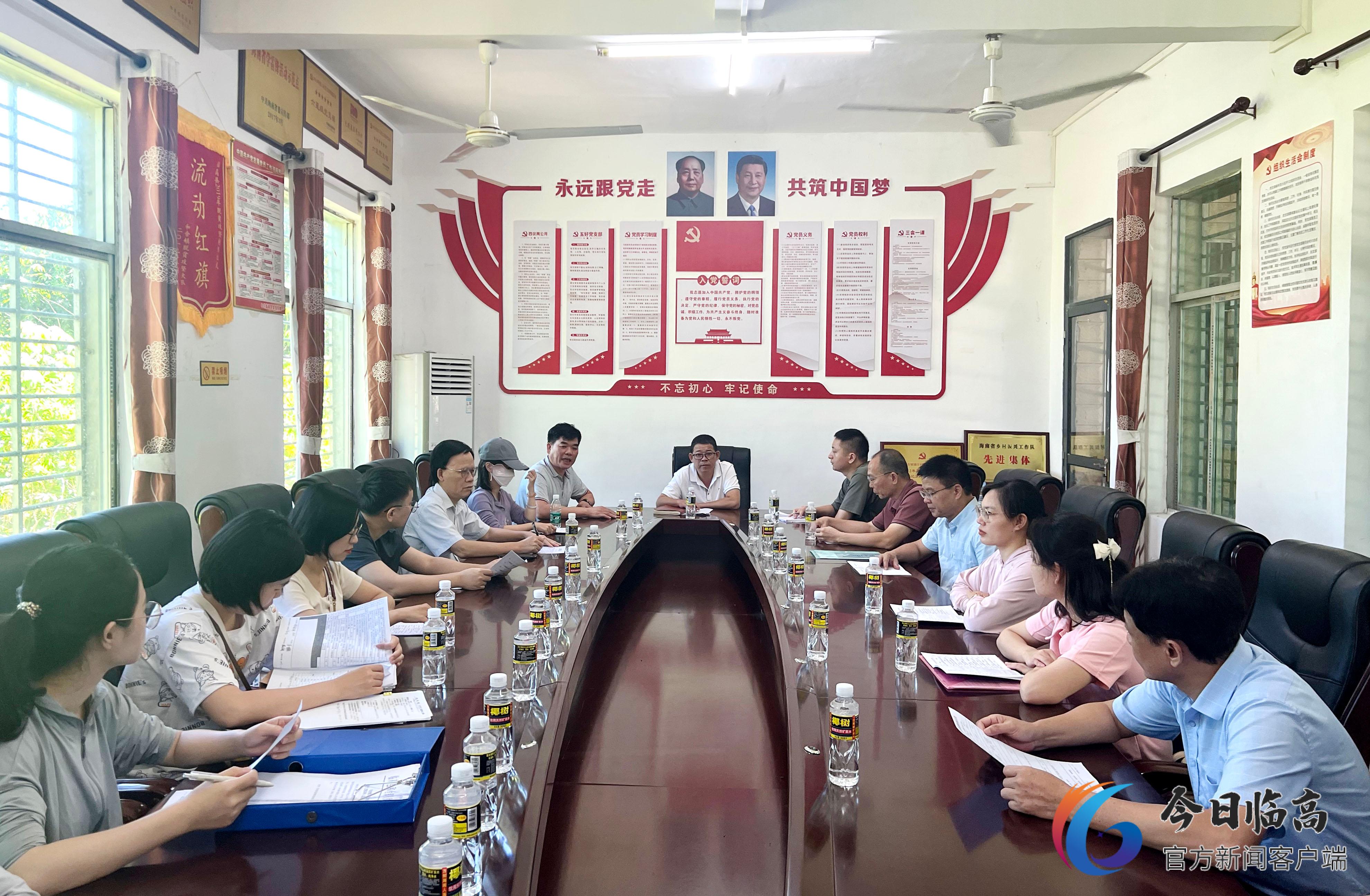 推进乡村振兴工作不力整改措施,临高乡村振兴高质量发展论坛