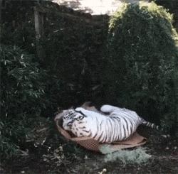 去足疗店按摩的时候遇到了自己的前女友，怎么样才能化解尴尬？哈