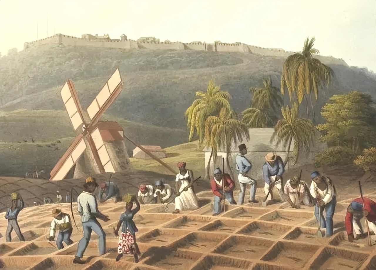 黑奴船上的悲惨生活：男性被关进船舱，女性在甲板上不断发出惨叫