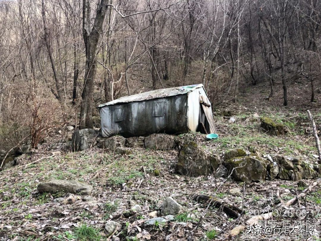 首阳山穿越大坪梁景色怎么样,大坪梁穿越到首阳山攻略