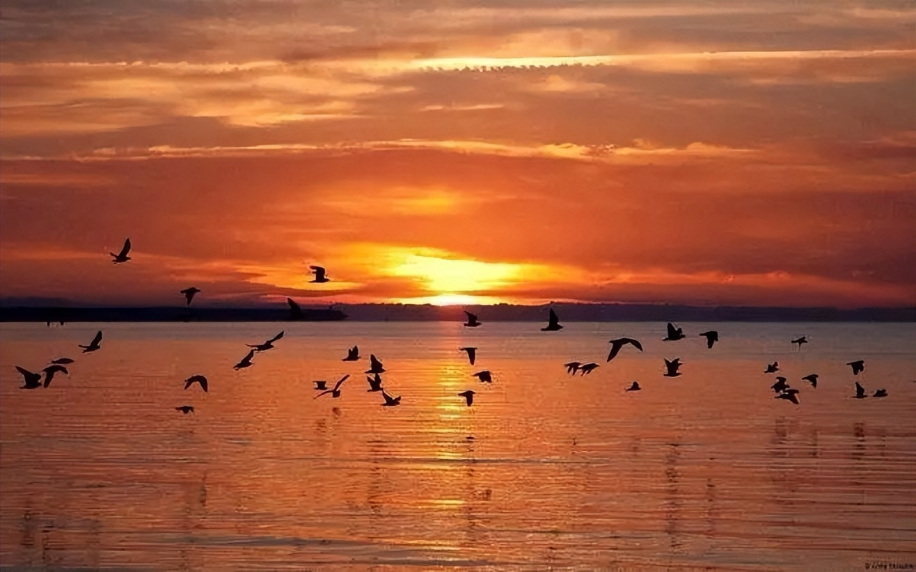 1959年人民大会堂落成，毛主席看着天花板笑问：这是谁的主意