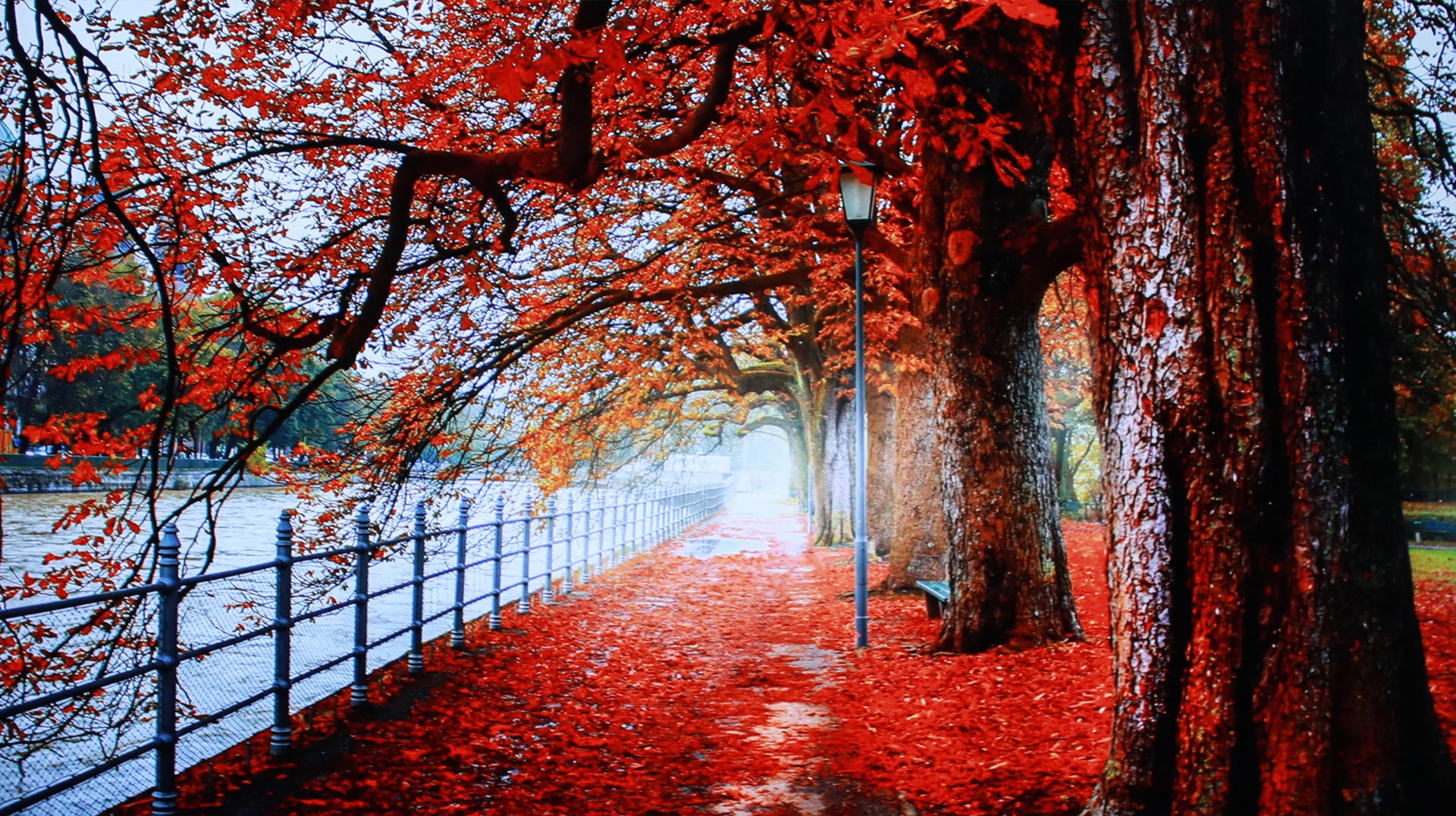 innocn29瀵哥編鏈樉绀哄櫒璇勬祴,innocn40瀵告樉绀哄櫒娴嬭瘎