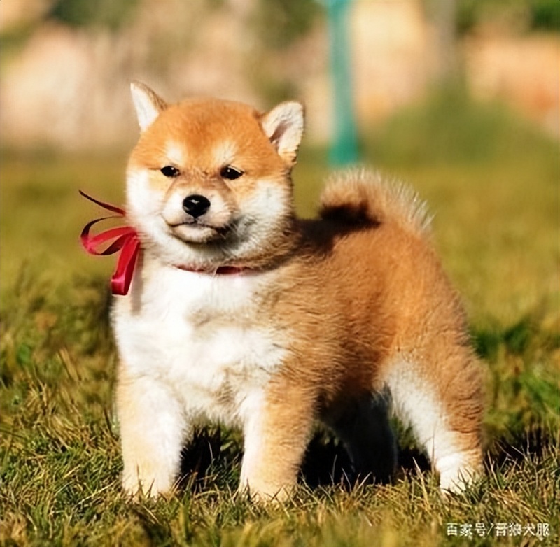 网上买到假货可以索要三倍赔偿,律师教你固定证据