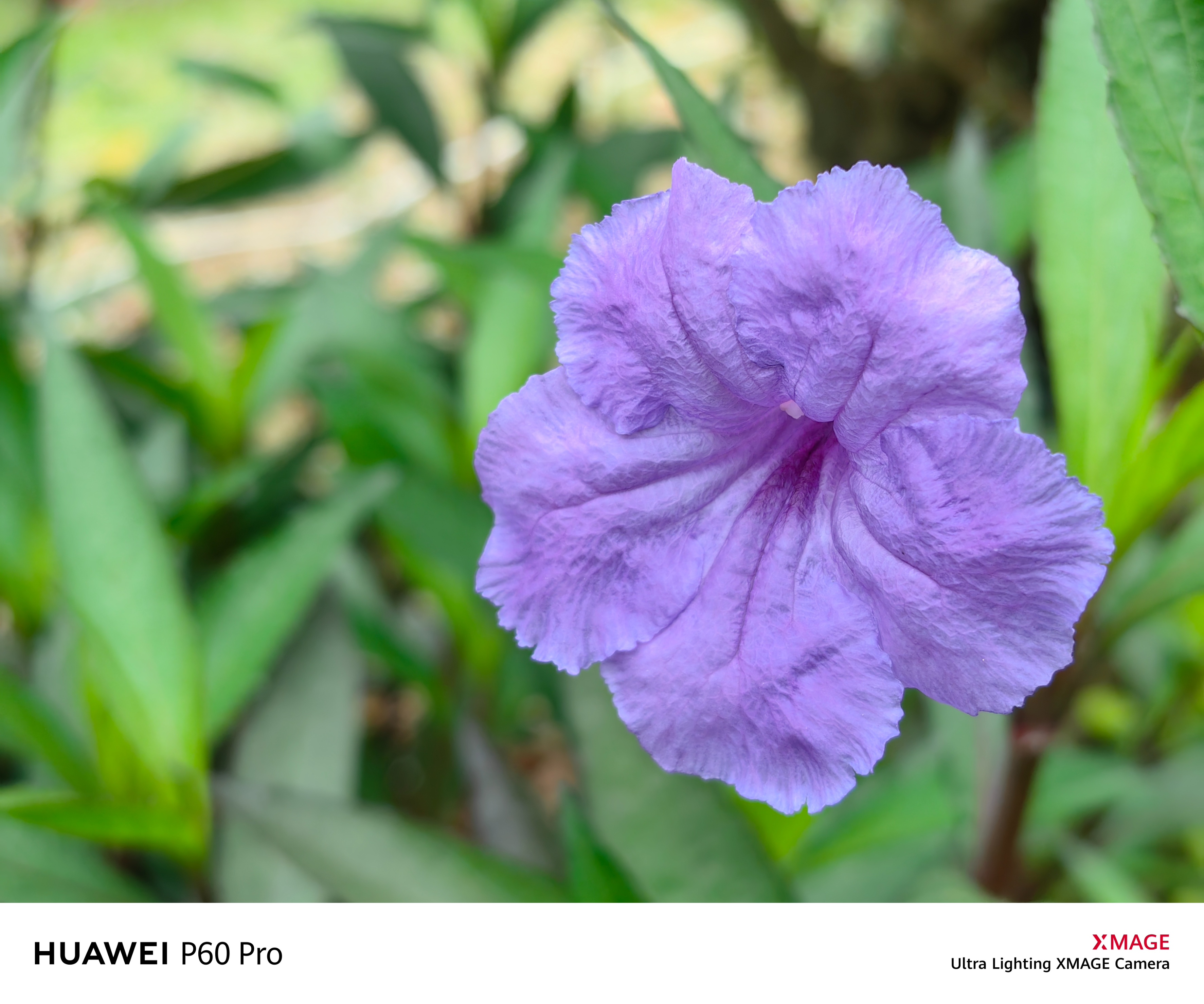 华为p60pro和华为nova9哪个好,华为P60Pro的使用体验