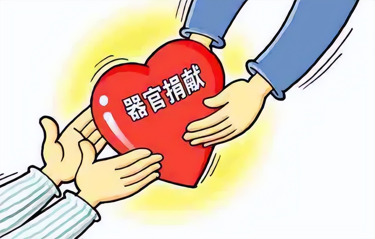 人兽真能杂交？日本批准“人兽杂交嵌合体试验”，福音还是灾难？